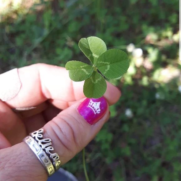 Meet your Posher, Jackie - Picture 1 of 1